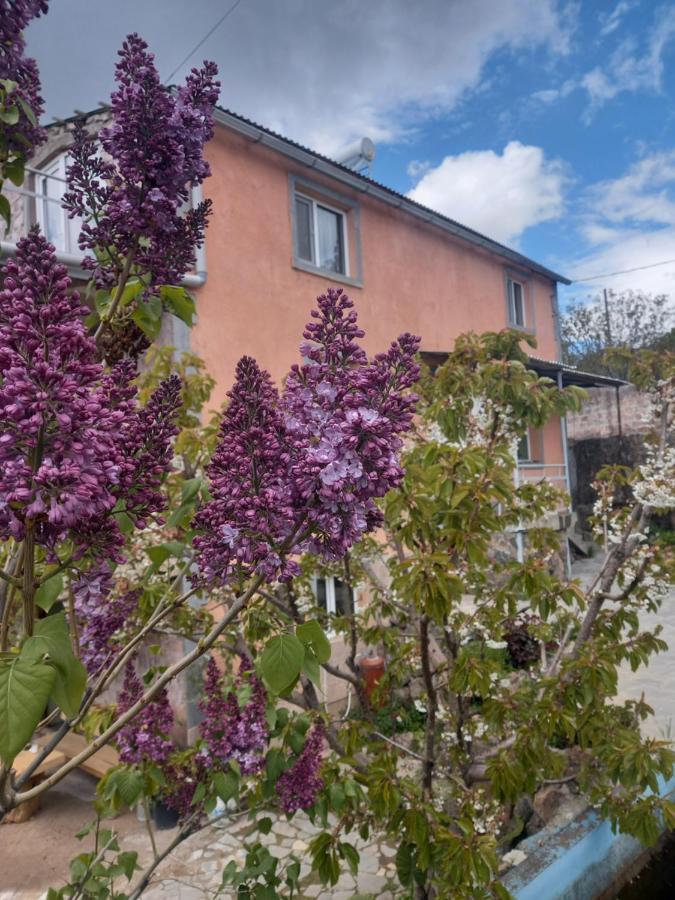 Byurakan Guesthouse & Cottage Dış mekan fotoğraf